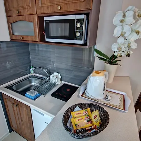 Bystre Apartament Zakopane